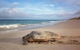Gnaraloo Station - thumb 9