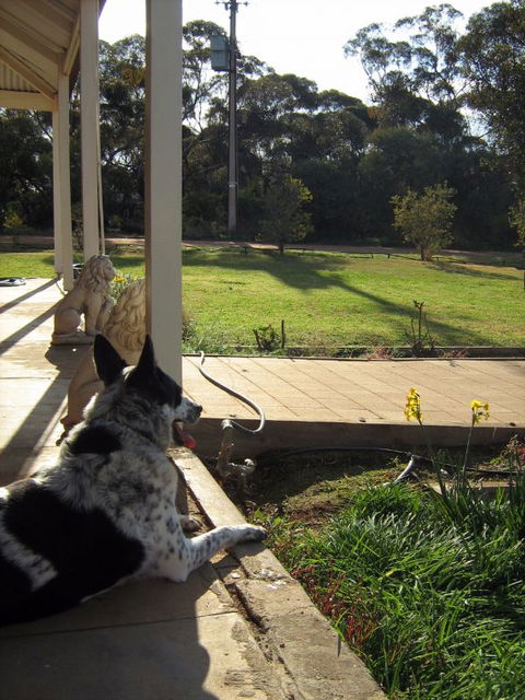 Great Grandpa Henry Retreat - New South Wales Tourism  4