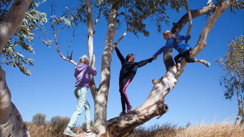 Hamilton Downs Youth Camp - New South Wales Tourism  4