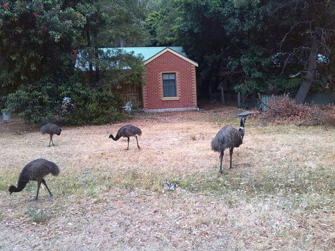 Boronia Peak Villas - New South Wales Tourism  5