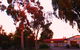 Murray Bridge Central Olympic Motel And Cottages - thumb 0