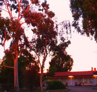 Murray Bridge Central Olympic Motel and Cottages - New South Wales Tourism 
