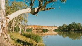 Border Cliffs River Retreat - New South Wales Tourism  4