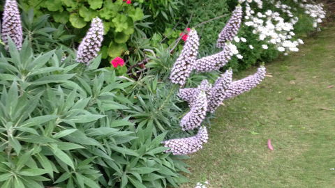 Padthaway Caravan Park - New South Wales Tourism  9