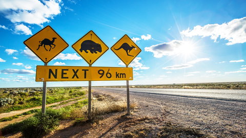 Nullarbor Roadhouse - New South Wales Tourism  1