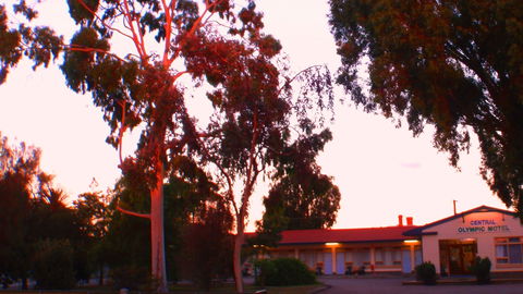 Murray Bridge Central Olympic Motel And Cottages - New South Wales Tourism  7
