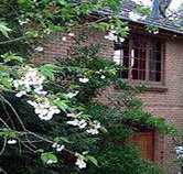 Crafers Cottages - Cherrytree Cottage - New South Wales Tourism 