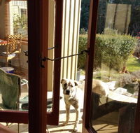 Mara Ponds Branxholm - New South Wales Tourism 