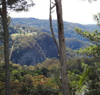 Mt Tamborine Motel - New South Wales Tourism 