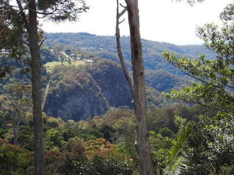 Mt Tamborine Motel - New South Wales Tourism  0