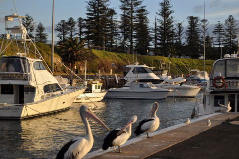 Nautica Accommodation Gerringong - New South Wales Tourism  2