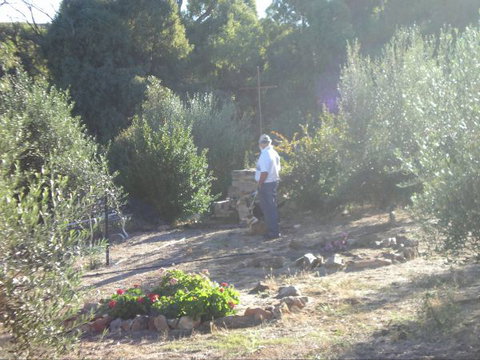 Olive Grove Retreat - New South Wales Tourism  5