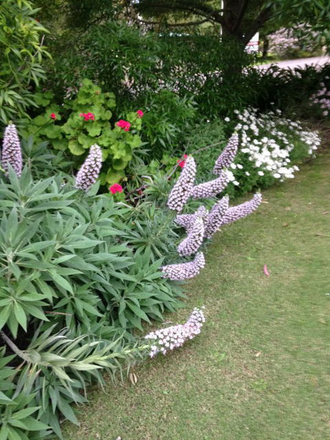 Padthaway Caravan Park - New South Wales Tourism  2