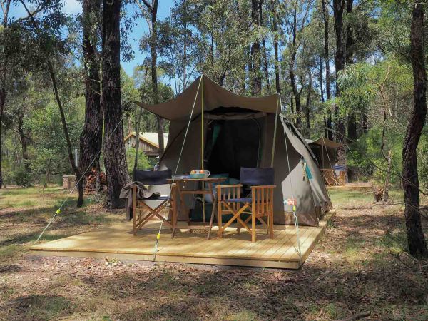Moggs Creek VIC New South Wales Tourism 