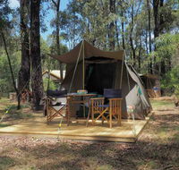 Tall Trees Camping on the Great Ocean Road - New South Wales Tourism 