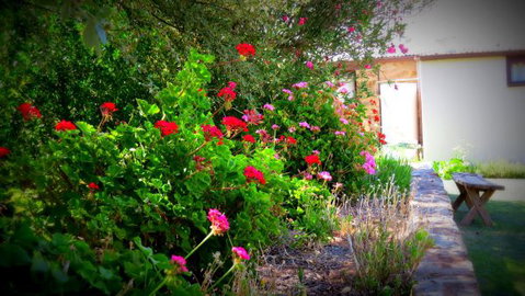 The Pig And Whistle - New South Wales Tourism  4