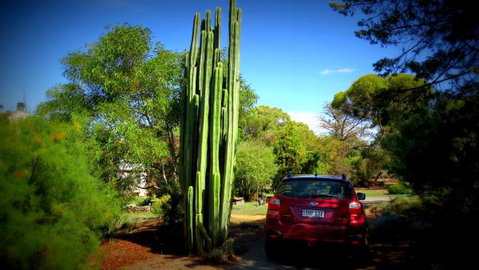 The Pig And Whistle - New South Wales Tourism  6
