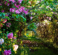 The Pear Walk - New South Wales Tourism 