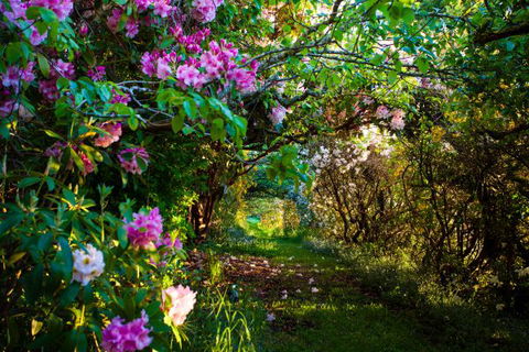 The Pear Walk - New South Wales Tourism  0