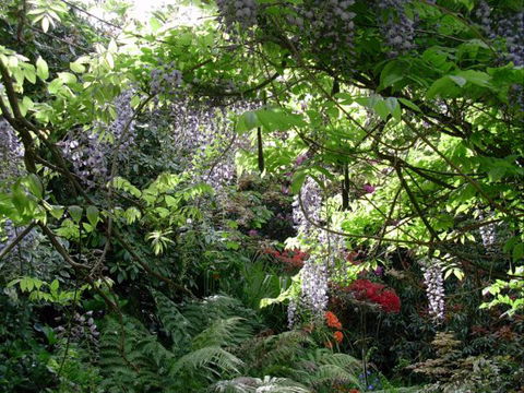 The Pear Walk - New South Wales Tourism  3