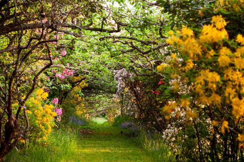 The Pear Walk - New South Wales Tourism  4