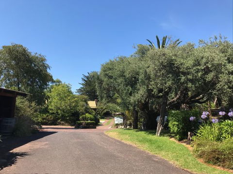Ti-Tree Village Ocean Grove - New South Wales Tourism  9