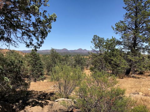 Upalinna Station - New South Wales Tourism  0