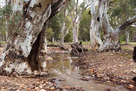 Upalinna Station - New South Wales Tourism  2