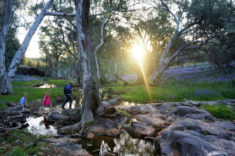 Upalinna Station - New South Wales Tourism  3