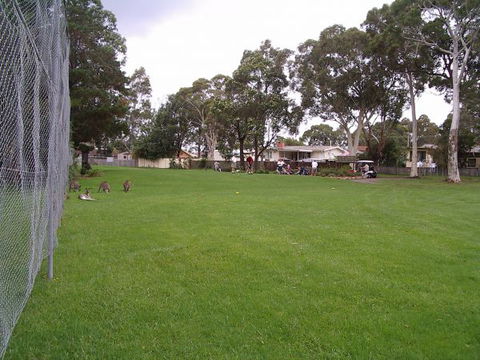 Waratah Cottage - New South Wales Tourism  8