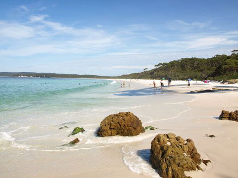 Waratah Cottage - New South Wales Tourism  9