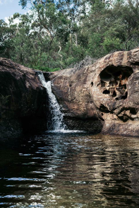 Werriberri - New South Wales Tourism  1