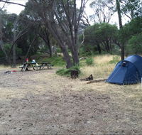 Allports Beach Camping Ground - New South Wales Tourism 