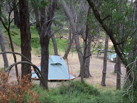 Allports Beach Camping Ground - New South Wales Tourism  5