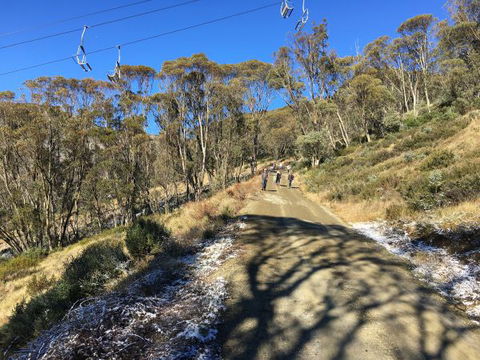 Arrabri Ski Club Hotham - New South Wales Tourism  1