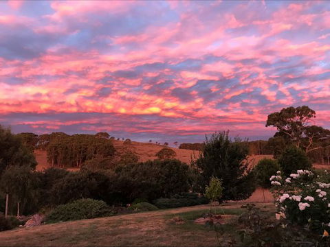 Avaleigh Elms Farmstay - New South Wales Tourism  5