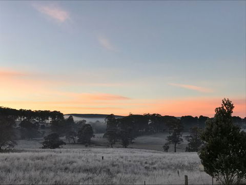Avaleigh Elms Farmstay - New South Wales Tourism  8