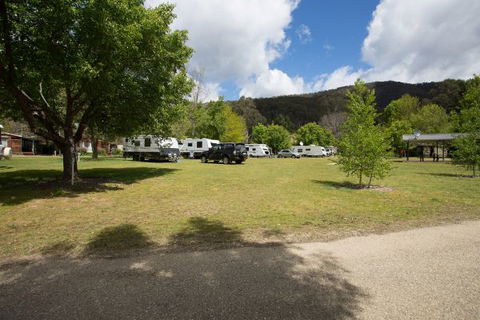 Bright Freeburgh Caravan Park - New South Wales Tourism  0