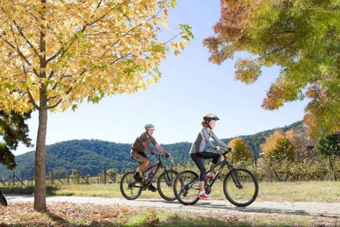 Bright Freeburgh Caravan Park - New South Wales Tourism  1