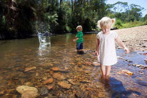 Bright Freeburgh Caravan Park - New South Wales Tourism  3