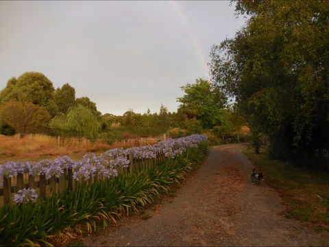 Bunjil Farm - New South Wales Tourism  5