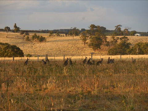 Bunjil Farm - New South Wales Tourism  8