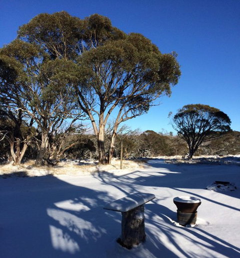 Cloud 9 Alpine Lodge - New South Wales Tourism  9