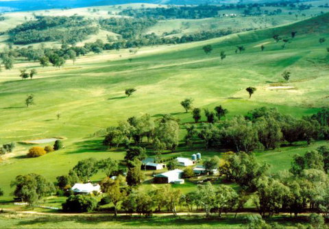 Daisyburn Homestead - New South Wales Tourism  0