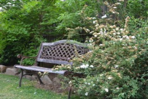 Garden Cottage B And B - New South Wales Tourism  4