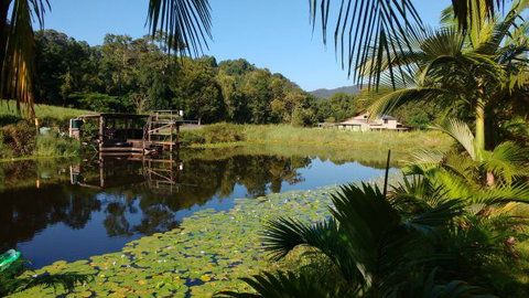 Hosanna Farmstay - New South Wales Tourism  0
