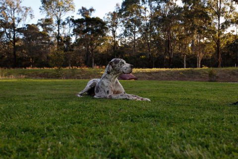 Hunter Valley Retreat - New South Wales Tourism  0