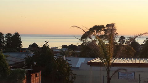 Oyster Court Motel And Holiday Units - New South Wales Tourism  0