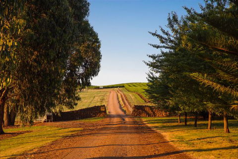 Mt Bellevue Lodge - King Valley - New South Wales Tourism  3