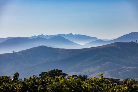 Mt Bellevue Lodge - King Valley - New South Wales Tourism  4